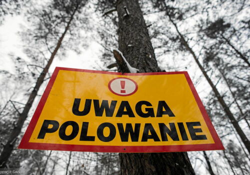 Plan polowań koła łowieckiego Leśnik w Alwerni