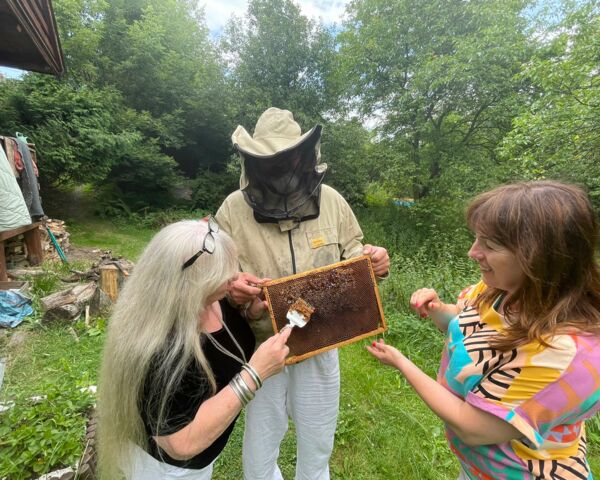 Słynna skrzypaczka Halina Jarczyk i jej pasja do pszczelarstwa