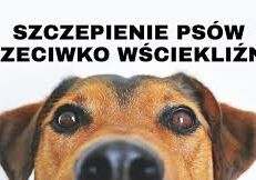 Harmonogram szczepień psów przeciwko wściekliźnie wykonywanych przez Przychodnię Weterynaryjną "Na Mydlanej" w Chrzanowie, w 2023 roku