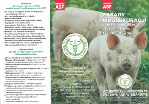 Ostrzeżenie przed wirusem afrykańskiego pomoru świń (ASF)
